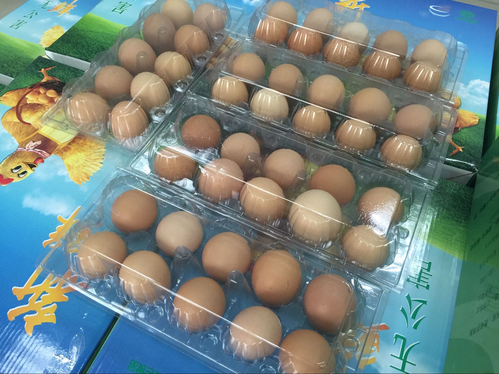 QQ图片20160613162054